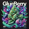 Glueberry Smalls – Hybrid – AAAA – Gas Demon