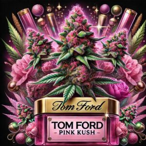 Tom Ford Pink Kush – Indica – AAAA – By Gas Demon
